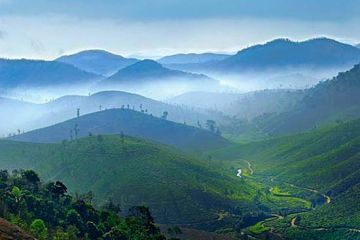 Best 4 Days 3 Nights Ooty Hill Stations Tour Package