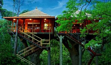 Munnar Culture Tour Package for 6 Days