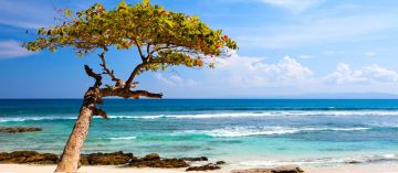 Memorable 6 Days 5 Nights Port Blair and Havelock Holiday Package