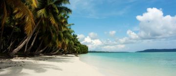 Pleasurable 6 Days 5 Nights Neil Island Island Trip Package