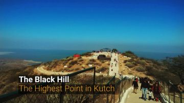 Statue Of Unity Dwarka Somnath Diu Sasan Gir Ahmedabad