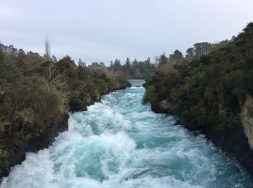 12 Days 11 Nights Auckland, Coromandel, Rotorua with Queenstown Nature Vacation Package