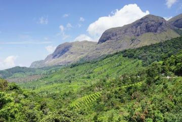 4 Days 3 Nights India to Munnar Honeymoon Holiday Package
