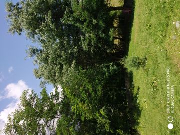 Amazing 9 Days SRINAGAR Nature Trip Package