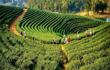 Ecstatic 6 Days 5 Nights Lachung Beach Holiday Package