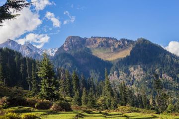 6 Days 5 Nights Delhi to Shimla Walking Tour Package