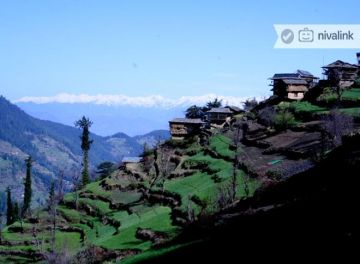 Beautiful 4 Days Delhi to Shoja Nature Holiday Package