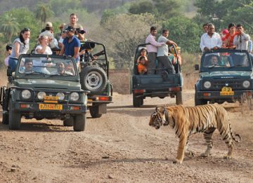 Magical 7 Days Jaipur Religious Holiday Package