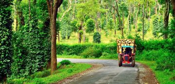 6 Days 5 Nights Mysore Offbeat Trip Package