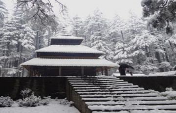 10 Days 9 Nights Delhi to Kufri Friends Holiday Package