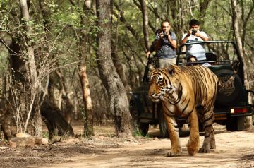 2N-3D - Jim Corbett Family Tour Package