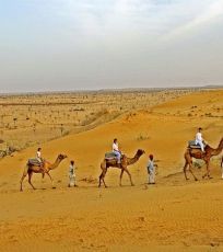 6 Days 5 Nights Jaipur to Jodhpur Forest Vacation Package