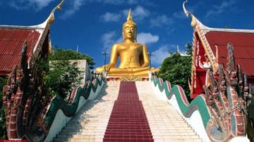 6 Days 5 Nights Pattaya City Wildlife Trip Package