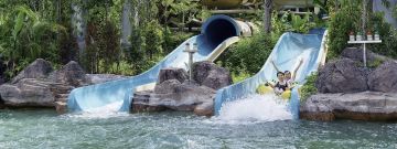 Ecstatic 7 Days Sunway Lagoon Wildlife Tour Package