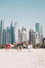 Pleasurable 2 Days Abu Dhabi Honeymoon Vacation Package