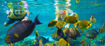 Amazing 4 Days Goa, India to Goa Holiday Package