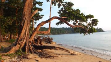 4 Days 3 Nights Andaman And Nicobar Islands to Port Blair Vacation Package