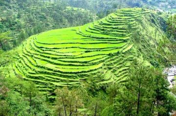 Kausani Hill Stations Tour Package for 3 Days from Delhi