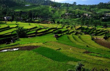 Kausani Hill Stations Tour Package for 3 Days from Delhi