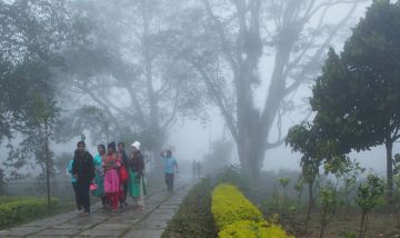 Ecstatic 4 Days Kerala Water Sport Vacation Package