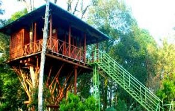 Heart-warming Kerala Nature Tour Package for 6 Days from Delhi