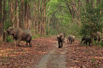 Best 6 Days Delhi to Nainital Honeymoon Trip Package