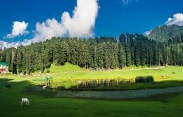 Best 5 Days Delhi to Shimla Hill Stations Tour Package