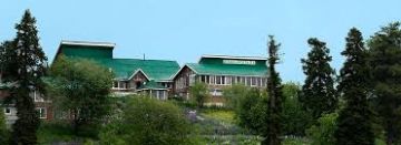 Experience 5 Days Kashmir Romantic Trip Package