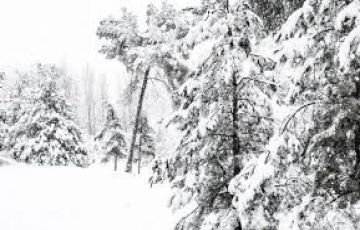 Beautiful 7 Days 6 Nights Jammu Colony Trip Package