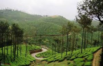 5 Days 4 Nights Munnar, Thekkady and Alleppey Offbeat Trip Package