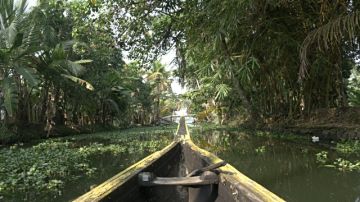 Heart-warming 4 Days 3 Nights Munnar and Thekkady Vacation Package