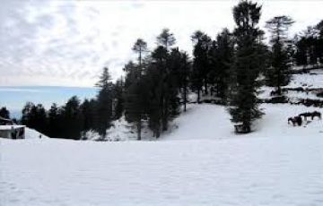 15 Days 14 Nights Shimla, Kufri, Jakhu and The Mall Friends Tour Package