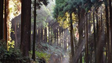 Sandakphu with Lepchajagat