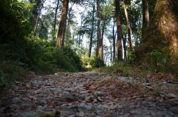 Best 5 Days Kolkata, Siliguri to Aritar Nature Tour Package