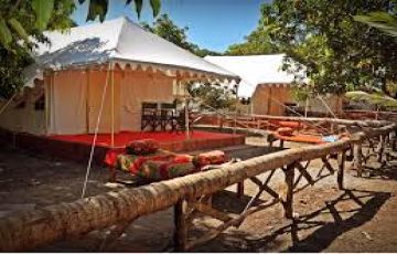 Ecstatic 3 Days Gir Historical Places Trip Package