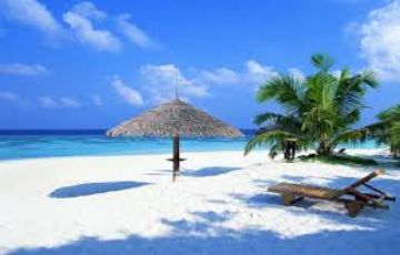 Pleasurable 5 Days Delhi to Goa Wildlife Holiday Package