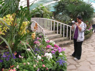 Family Getaway 5 Days Kolkata, Siliguri to Lachung Offbeat Holiday Package