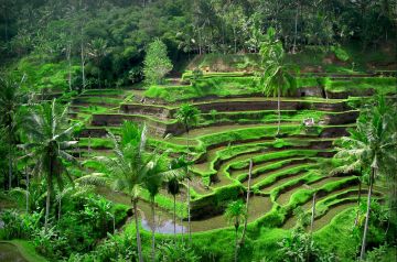 5 Days Bali, Indonesia to Bali Beach Holiday Package