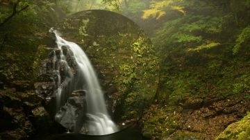 Experience 8 Days Ooty Honeymoon Trip Package