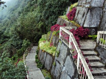 Family Getaway 5 Days Mumbai to Sikkim Adventure Vacation Package