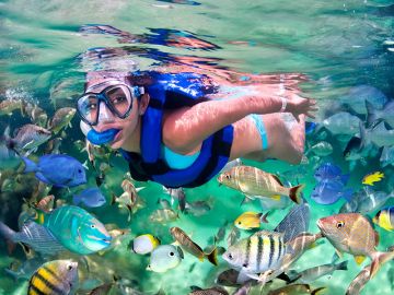 Best 5 Days 4 Nights PATTAYA and Bangkok Offbeat Holiday Package