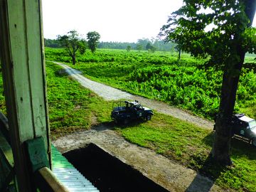 Amazing 6 Days Kolkata, Siliguri to Gorumara National Park Forest Trip Package