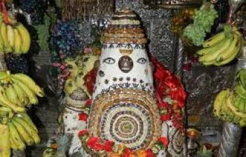 7 Days 6 Nights SIGHTSEEING Monastery Tour Package