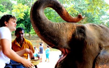 Experience 4 Days Sigiriya Wildlife Trip Package