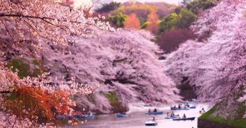 6 Days Tokyo and Osaka Trek Tour Package