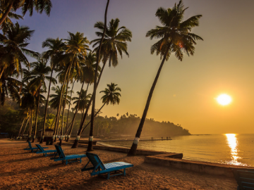 8 Days 7 Nights Port Blair, Ross Island, North Bay and Havelock Island Resort Tour Package