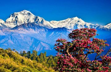 Ecstatic 9 Days Paro Culture and Heritage Vacation Package