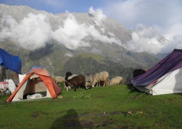 Memorable 5 Days 4 Nights Shimla Offbeat Vacation Package