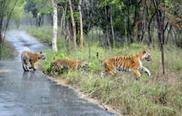 Beautiful Nagarahole Nature Tour Package for 2 Days