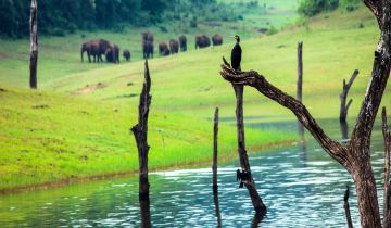 7 Days 6 Nights Kochi to Alleppey Family Vacation Package